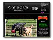Solazar Cairn terrier & labrador kennel