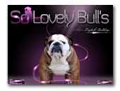 SO LOVELY BULL'S - Elevage Bulldogs Anglais