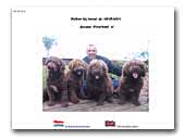kennel Amaragua for Spanish Waterdogs