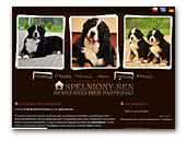 Kennel Spelniony Sen - Bernese Mountain Dog