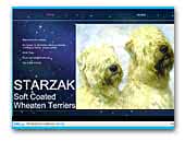 STARZAK Soft Coated Wheaten Terriers