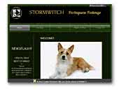 Stormwitch Portuguese Podengo