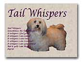 Tail Whispers Havanese breeder