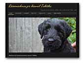 Riesenschnauzer kennel Taktika