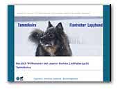 Tammikoira - Finnischer Lapphund