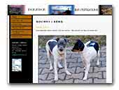 Belo Arvoredo - Terrier Brasileiro kennel