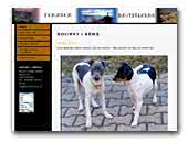 Belo Arvoredo - Terrier Brasileiro kennel