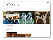 thaibangkaewdog.nl