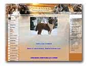 The Sourannya Kennel Spanish water dog