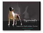  Tigerwood's American Staffordshire Terrier