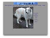 Kennel Blaireau Noire