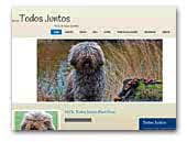 Todos Juntos - Spanish Water Dogs