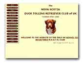 Nova Scotia Duck Tolling Retreiver Club Of UK