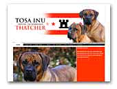 Thatcher - Tosa Inu