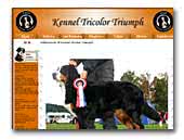 Kennel Tricolor Triumph