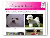 Tullyheron Bichons