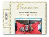Twan-San-Yen Italien Greyhound