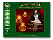 Vanmar Majesty kennel Cavalier king charles spaniel