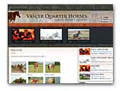 Vascer QH & ACD