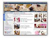 Verdano Breeding Maltese Kennel