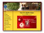 von der Röhliranch Chihuahuas