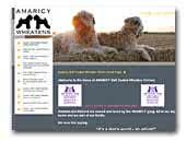 The Home of Amaricy Soft Coated Wheaten Terriers