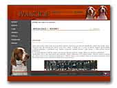 Kennel IvanciceWelsh Springer Spaniel