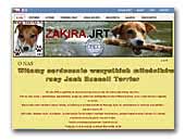 Zakira - kennel Jack Russell Terrier