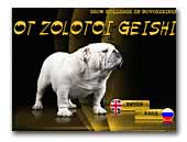 Ot Zolotoi Geishi kennel of English bulldogs