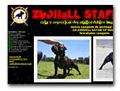 Zudhell Atafford - staffordshire bull terrier