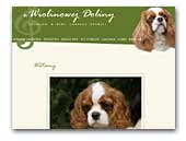 z Wiolinowej Doliny Cavalier & King Charles Spaniel