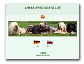 Agata Lux Kennel