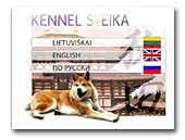 Akita-inu Kennel Sveika