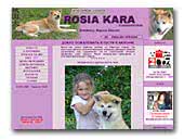 Rosia Kara Akita-inu Kennel