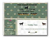 Aknel Top Flat Coated Retrievers