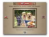 Labrador Retrievers Al-grom Kennel