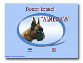 Boxers Almera's