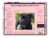 Alport Staffordshire Bull Terriers