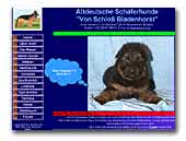 Altdeutsche Schäferhunde von Schloß Bladenhorst