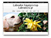 Labrador Retrievers Amalthea Nais Kennel