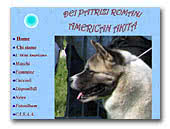 Dei Patrizi Romani American Akita