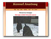 Curly Coated Retrievers Anatnaq