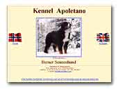 Apotelano Kennel