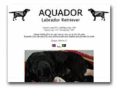 Aquador Labrador Retriever