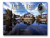 Kennel Arctic Kees