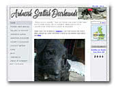 Scottish Deerhounds Ardneish