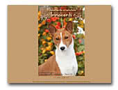 Innocenti Basenji