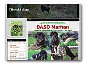 BASO Marhan - Tibetan Mastiff
