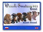 Wesołe Smutasy (FCI)Basset Hounds