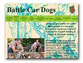 Battle CarDogs